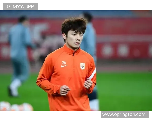 身披49号战袍的传奇足球巨星如何在绿茵场上书写不朽荣耀